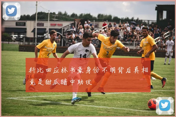 科比回应林书豪身份不明背后真相竟是甜瓜暗中助攻
