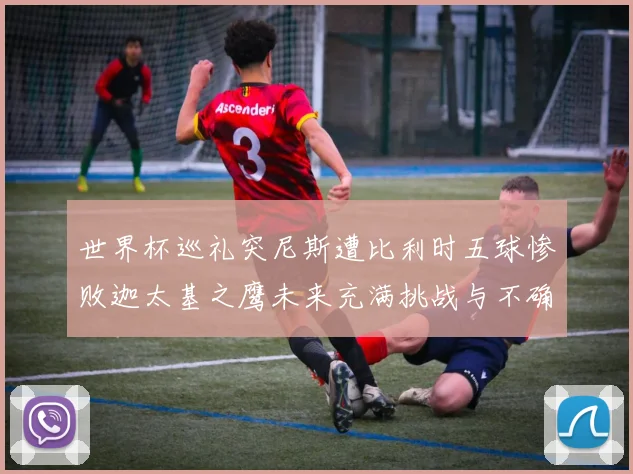 世界杯巡礼突尼斯遭比利时五球惨败迦太基之鹰未来充满挑战与不确定性