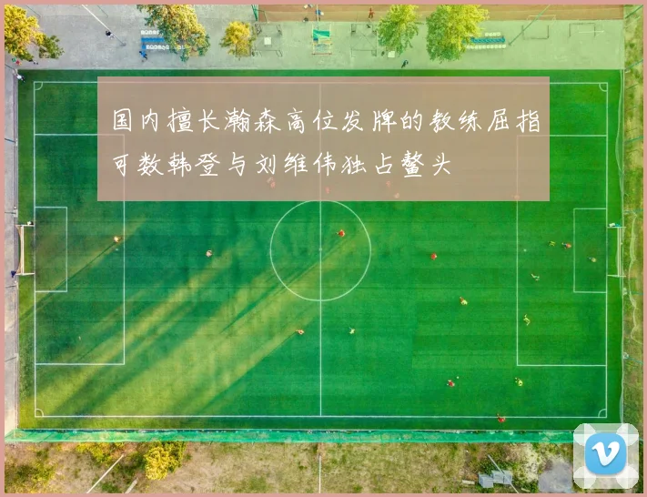 国内擅长瀚森高位发牌的教练屈指可数韩登与刘维伟独占鳌头